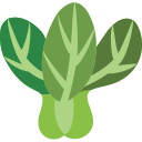 bok choy icon