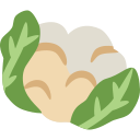 coliflor icon