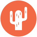 cactus icon