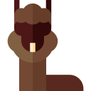 alpaca icon