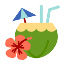 agua de coco icon