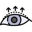 ojo icon