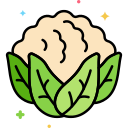 coliflor icon