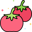 tomate icon