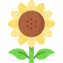 girasol icon