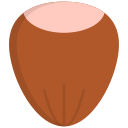 fruta icon