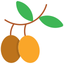 aceituna icon