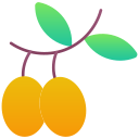 aceituna icon