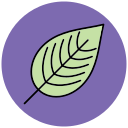 hoja icon