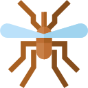 mosquito icon