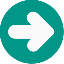 flecha correcta icon