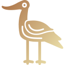 avoceta icon