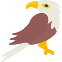 Águila 