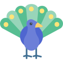 pavo real icon