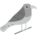 pájaro icon