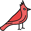 cardenal