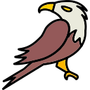 Águila