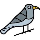 pájaro icon