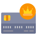 tarjeta vip icon