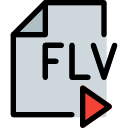 flv icon