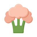 coliflor icon