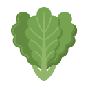 lechuga icon