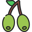 olivos icon