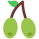 olivos icon