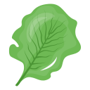 espinaca icon