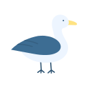 gaviota icon