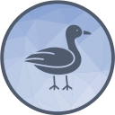 gaviota icon