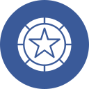 moneda icon