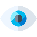 ojo icon