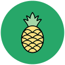 piña icon