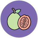 guayaba icon