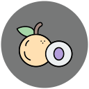 longan icon