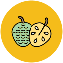 chirimoya icon