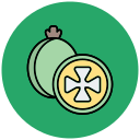 feijoa icon