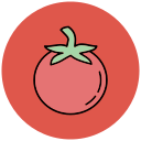 tomate icon