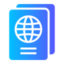 pasaporte icon