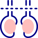 Vasectomía icon