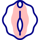 vagina icon