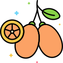 naranja china icon