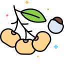 longan icon