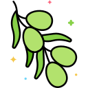 aceituna icon