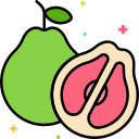 pomelo icon