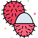 rambután icon