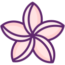 Plumeria 