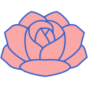 rosa icon