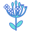 Alyssum icon